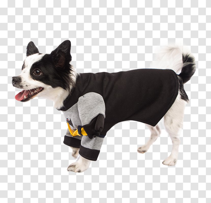 Dog Breed Costume Batman Ace The Bat-Hound - Border Collie Transparent PNG