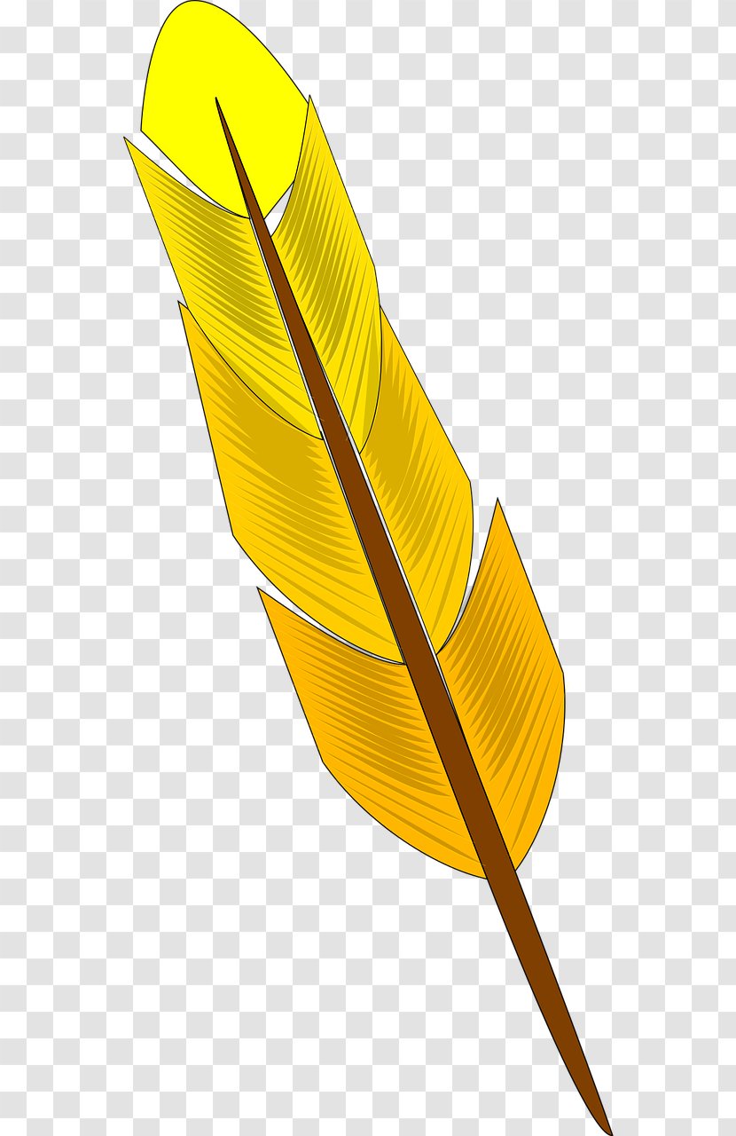 Feather Bird Clip Art - Yellow Transparent PNG
