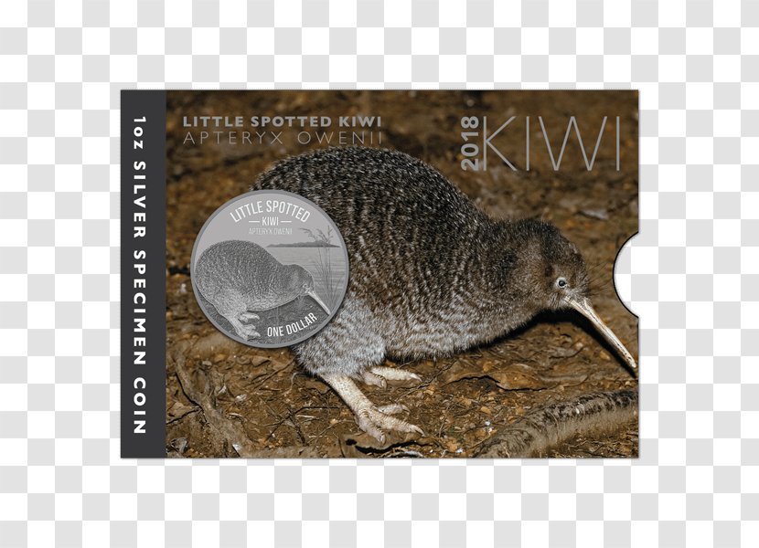 New Zealand Little Spotted Kiwi Silver Coin Great Transparent PNG
