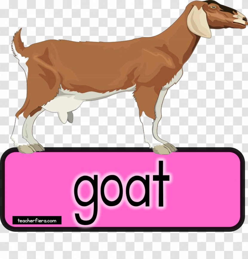 Goat Health Cattle Dog Breed Milk - Domestic Animals Transparent PNG