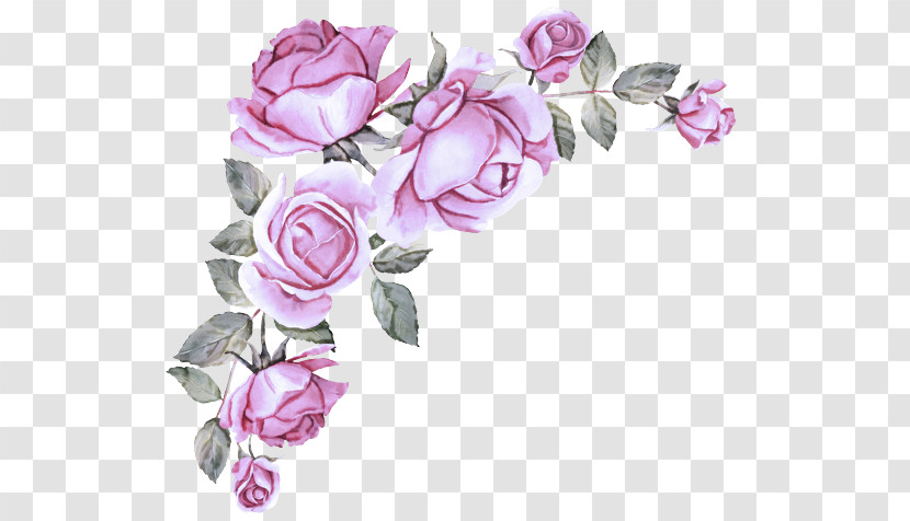 Floral Design Transparent PNG