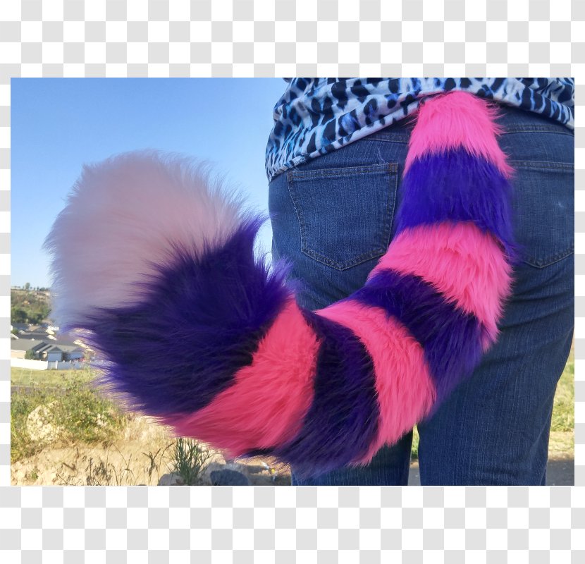 Cheshire Cat Fur Kitten Tail - Fox Transparent PNG