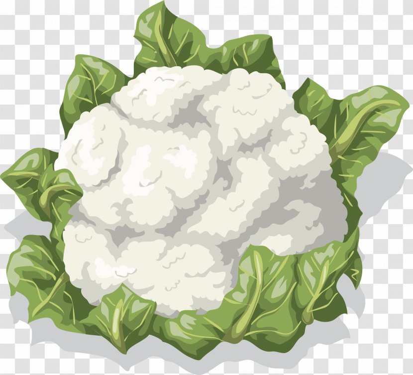 Cauliflower Vegetable Food Clip Art - Plant - Vector Transparent PNG