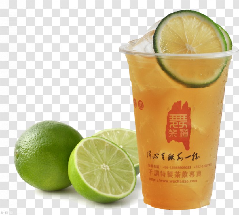 Juice Lemon Key Lime Essential Oil - Health - Emerald Transparent PNG