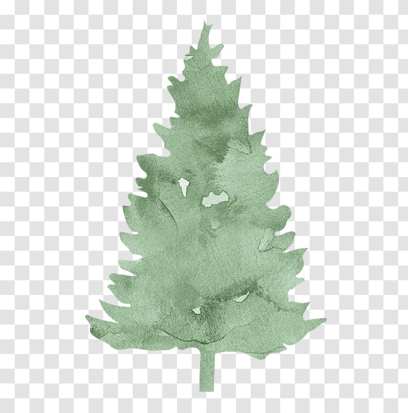 Pine Spruce Fir Evergreen Conifers - Christmas Ornament - Free To Pull The Leaf Material Transparent PNG