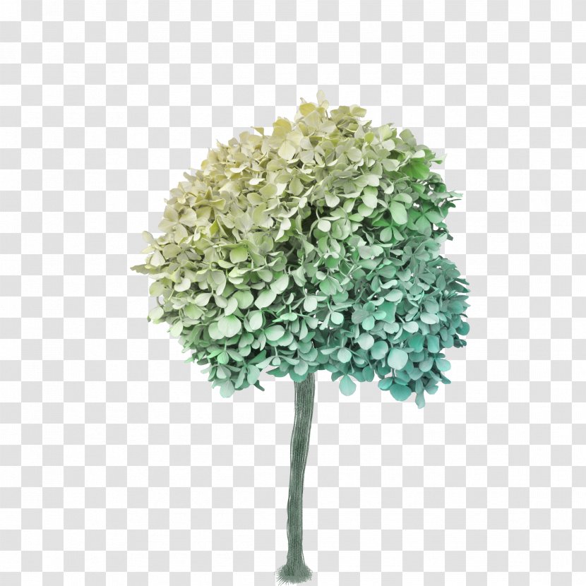 Tree Clip Art - Flower Transparent PNG