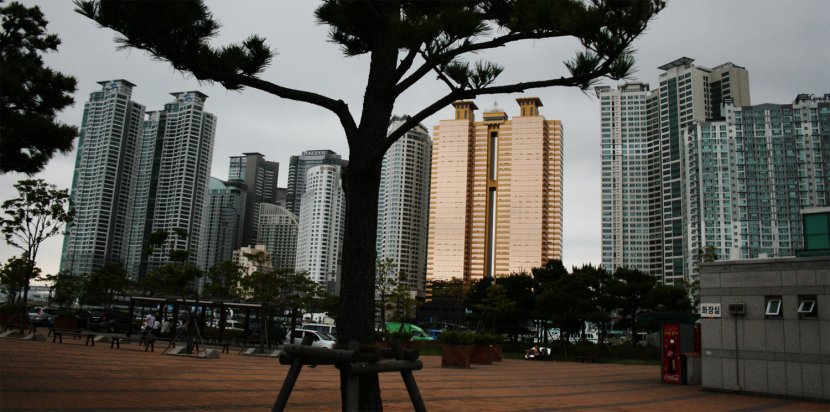 Busan Skyscraper GNU Free Documentation License Skyline Building - Tree Transparent PNG