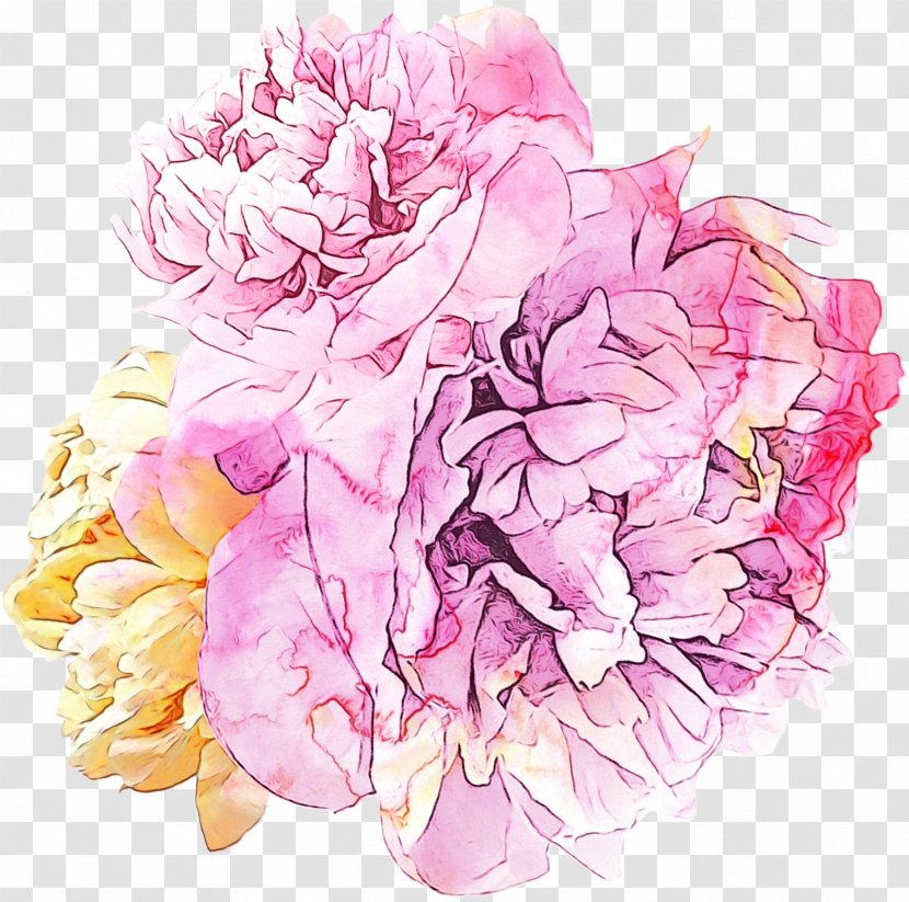 Watercolor Pink Flowers - Artificial Flower - Bouquet Rose Order Transparent PNG
