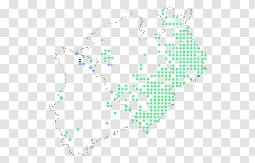 Line Point Green Map Product Transparent PNG