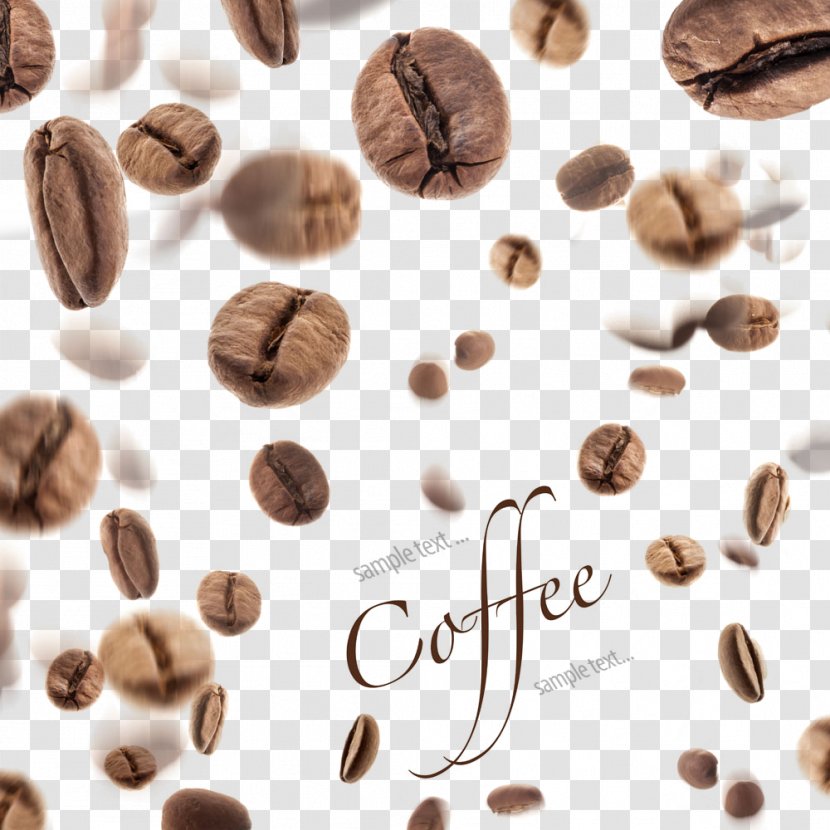 Coffee Bean Tea Mooncake - Arabica - Beans Background Decoration Transparent PNG