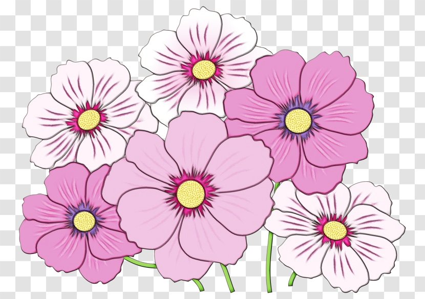 Floral Design Pansy Primrose Pink M - Cosmos Transparent PNG