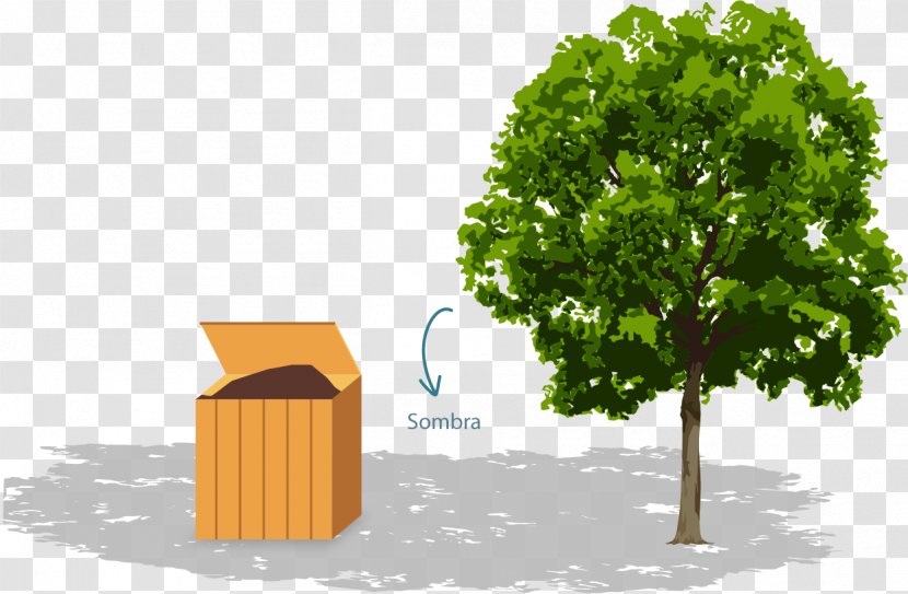 Rootstock Fruit Tree Arborist Clip Art Transparent PNG