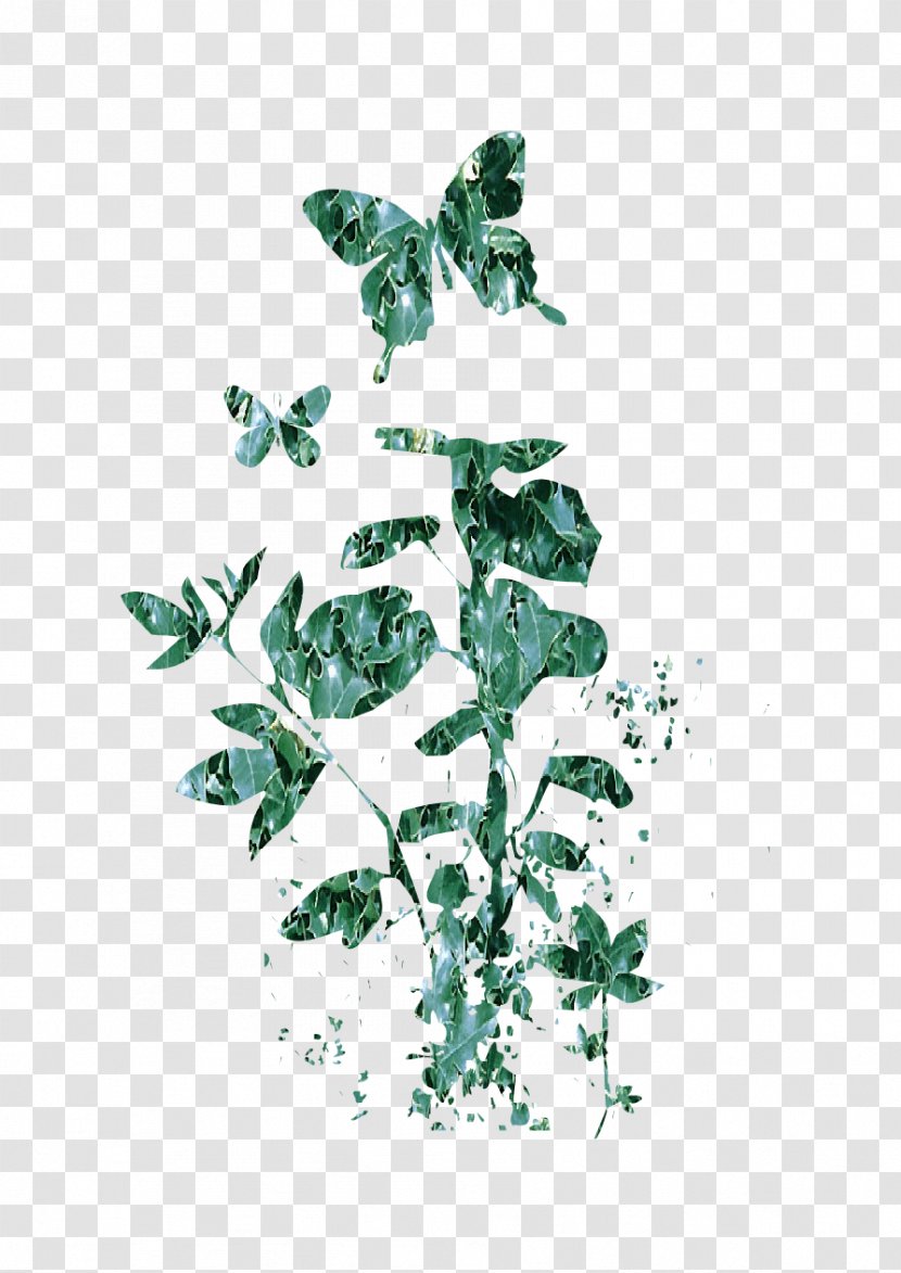 Paper Parchment - Ivy - Doodles Transparent PNG