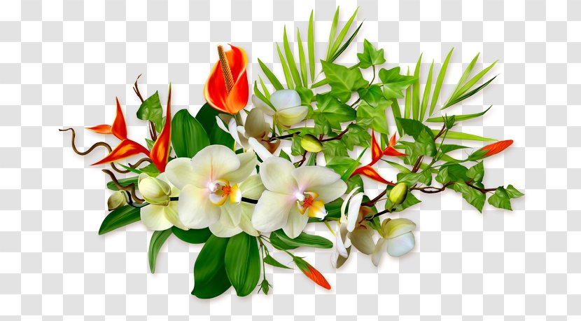 Clip Art - Tapuz - Floral Design Transparent PNG