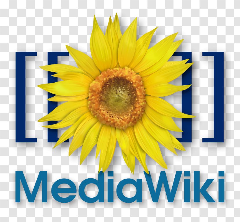 MediaWiki Wikimedia Foundation Computer Software Wikipedia - Cut Flowers Transparent PNG