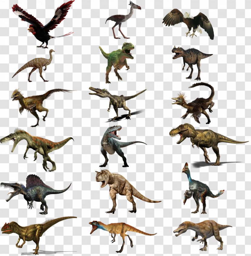 Theropods Thyreophora Tyrannosaurus Postosuchus Cerapoda - Terrestrial Animal - Flying Dinosaurs Pictures Transparent PNG