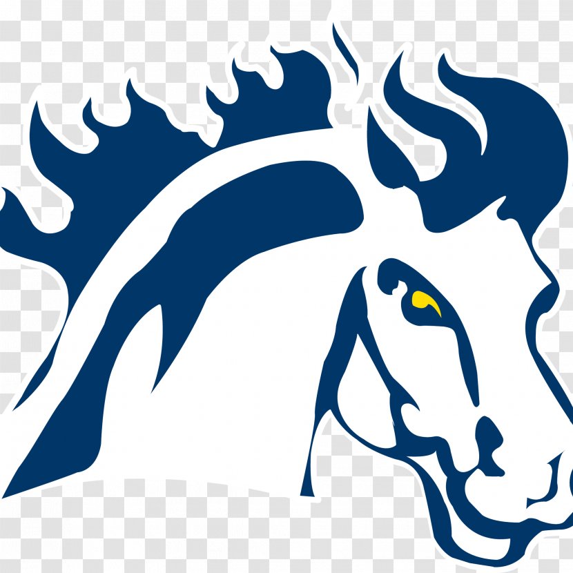 Mount Mercy University Evangel Bellevue Gallaudet Rockford - Area - Athlete Transparent PNG