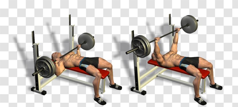 Exercise Bench Press Dumbbell Fitness Centre Bodybuilding - Cartoon - Pullover Transparent PNG