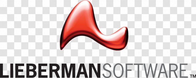 Lieberman Software Identity Management Computer Security Microsoft - Cartoon Transparent PNG