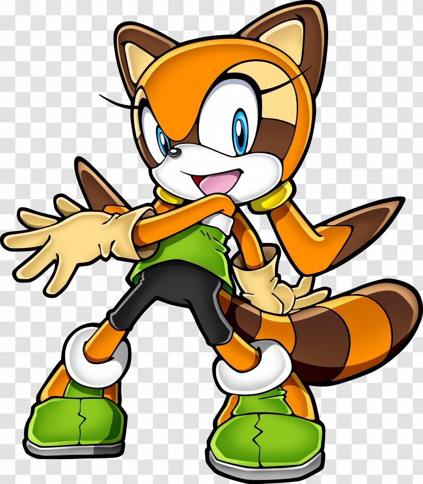 Sonic Rush Adventure The Hedgehog Tails Cream Rabbit - Raccoon Transparent PNG