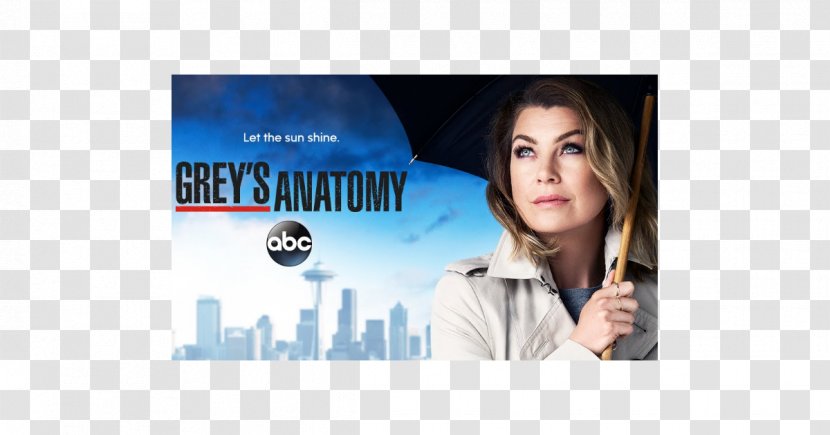 Ellen Pompeo Grey's Anatomy - Public Relations - Season 12 Meredith Grey AnatomySeason 13Others Transparent PNG