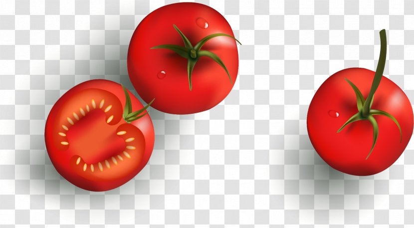 Tomato Tomatillo Food Transparent PNG