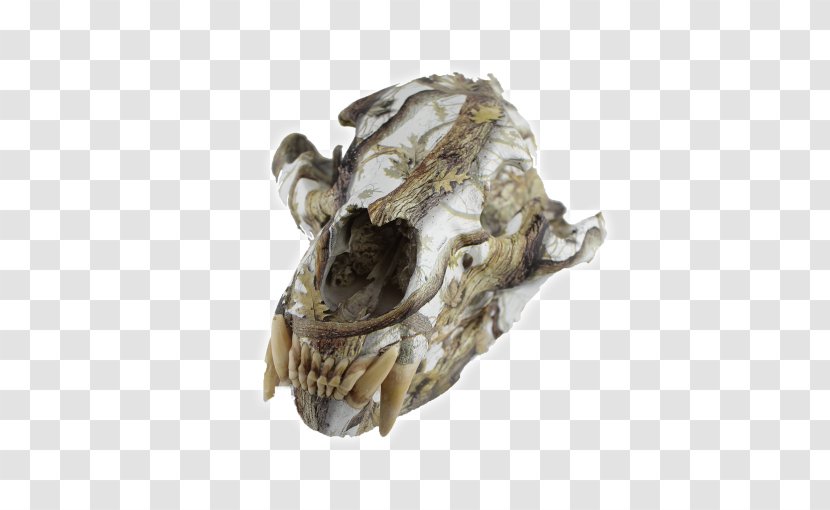 Skull Covering Infinity Finishes Jaw White-tailed Deer - Bone - Animal Transparent PNG