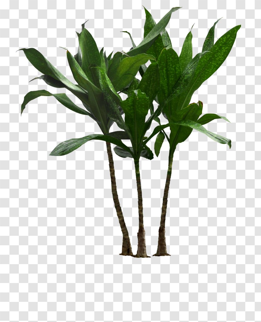 Houseplant Flowerpot Clip Art Palm Trees Plants - Large Potted Transparent PNG