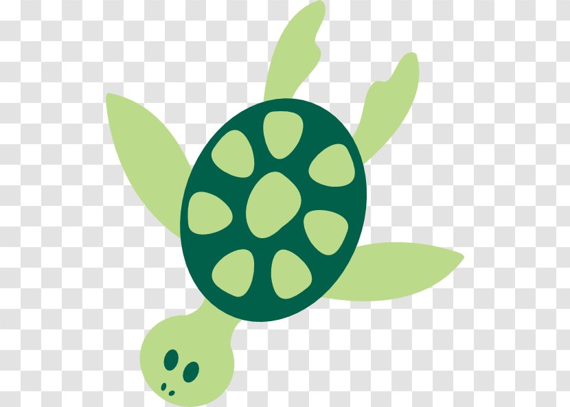 Green Sea Turtle Clip Art - Under Transparent PNG