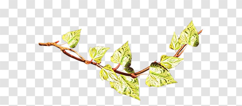 Twig Plant Stem Flowering Leaf Transparent PNG
