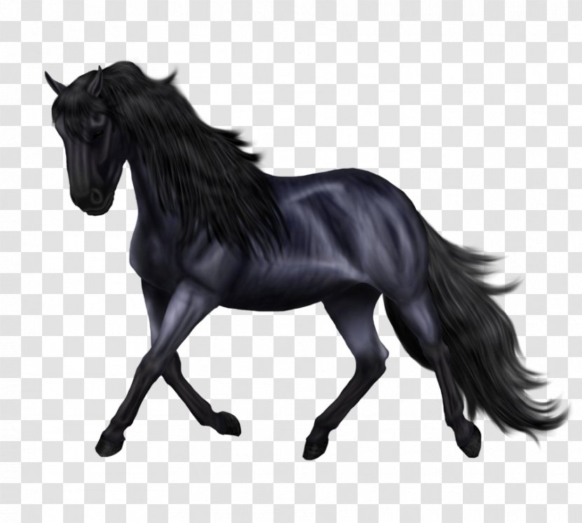 Friesian Horse Sporthorse Mane Stallion Mustang Transparent PNG