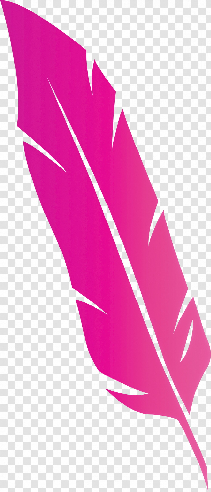 Feather Transparent PNG