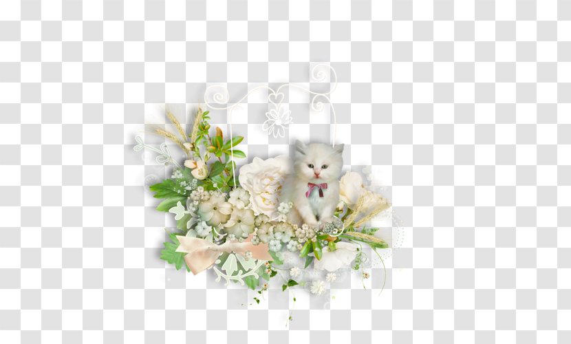 Flower Desktop Wallpaper Floral Design Clip Art - Whiskers Transparent PNG