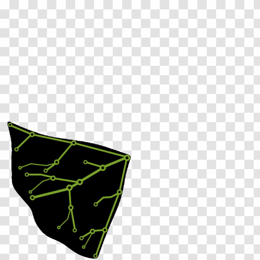 Leaf Briefs - Plant Transparent PNG