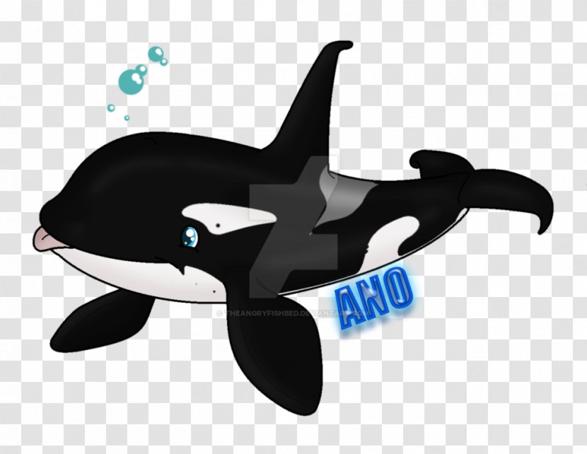 Dolphin Killer Whale Marine Biology - Fish Transparent PNG