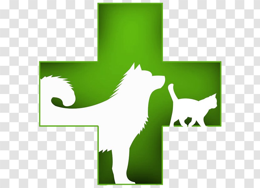 Dog VELLCAN CLINICA VETERINARIA Y PELUQUERÍA CANINA / FELINA Kitten Pet Veterinary Medicine Transparent PNG