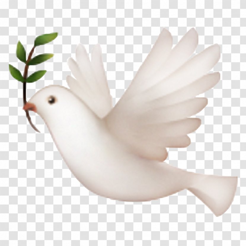 IPhone Emojipedia Doves As Symbols - Cronologia Delle Versioni Di Ios - Pigeon Transparent PNG