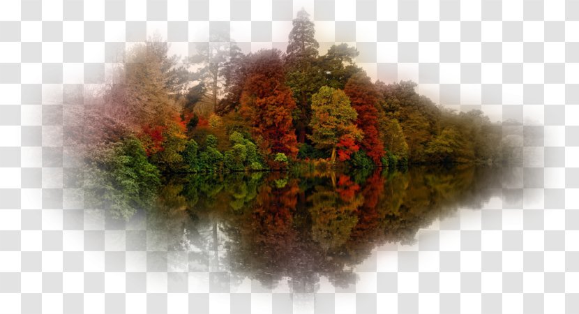 Sheffield Park Garden Desktop Wallpaper Leaf Computer Transparent PNG