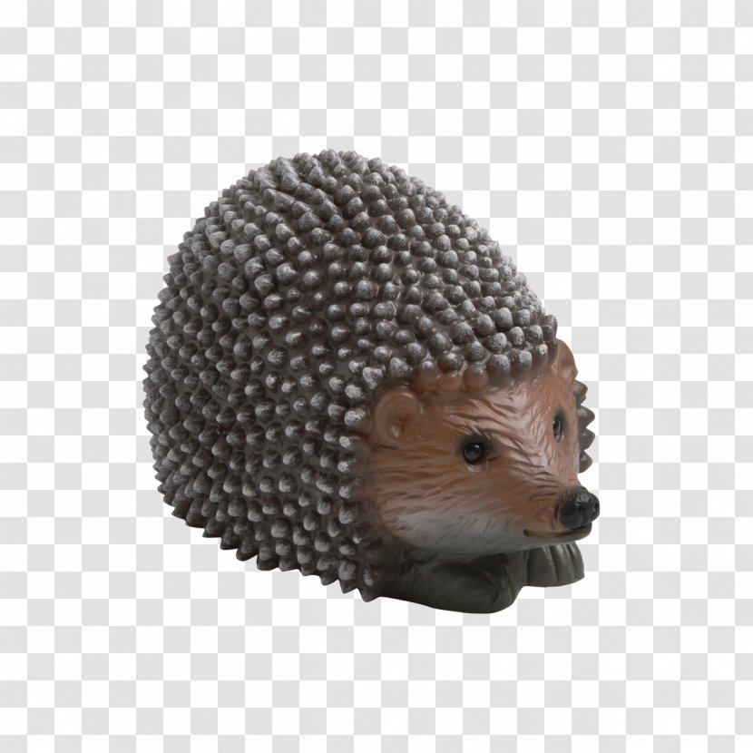 Domesticated Hedgehog Porcupine Domestication Snout Transparent PNG