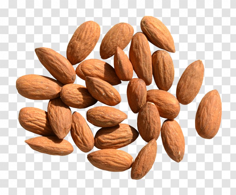 Nut Food - Almond Transparent PNG
