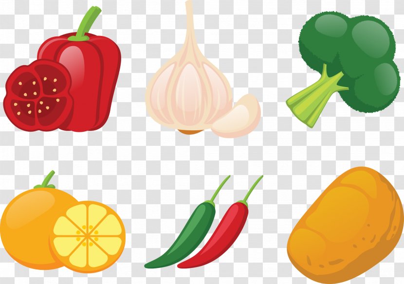 Bell Pepper Winter Squash Vegetable Illustration - Vector Vegetables Transparent PNG