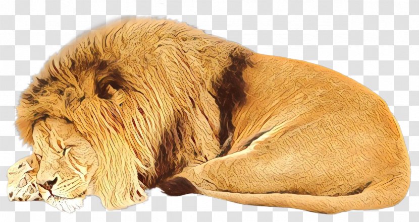 Dog Breed Companion Cat Snout - Big Transparent PNG