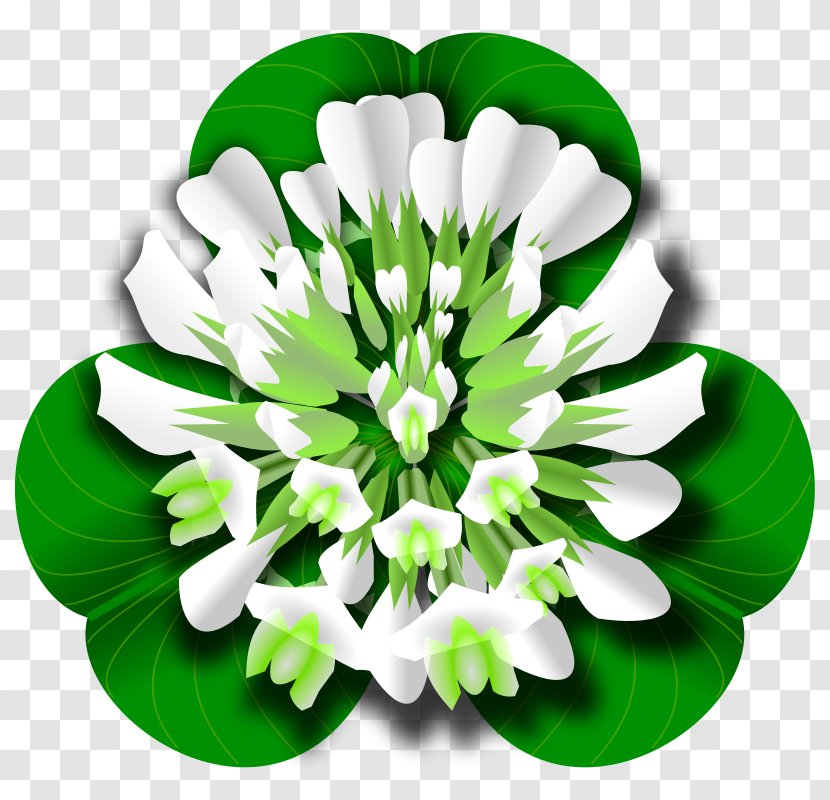 White Clover Red Four-leaf Clip Art - Picture Transparent PNG