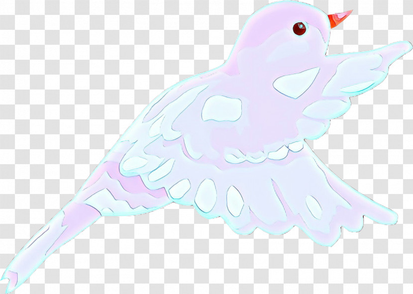 Pink Cartoon Bird Beak Drawing Transparent PNG