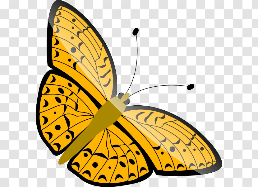 Butterfly Clip Art - Membrane Winged Insect - Simple Cartoon Transparent PNG