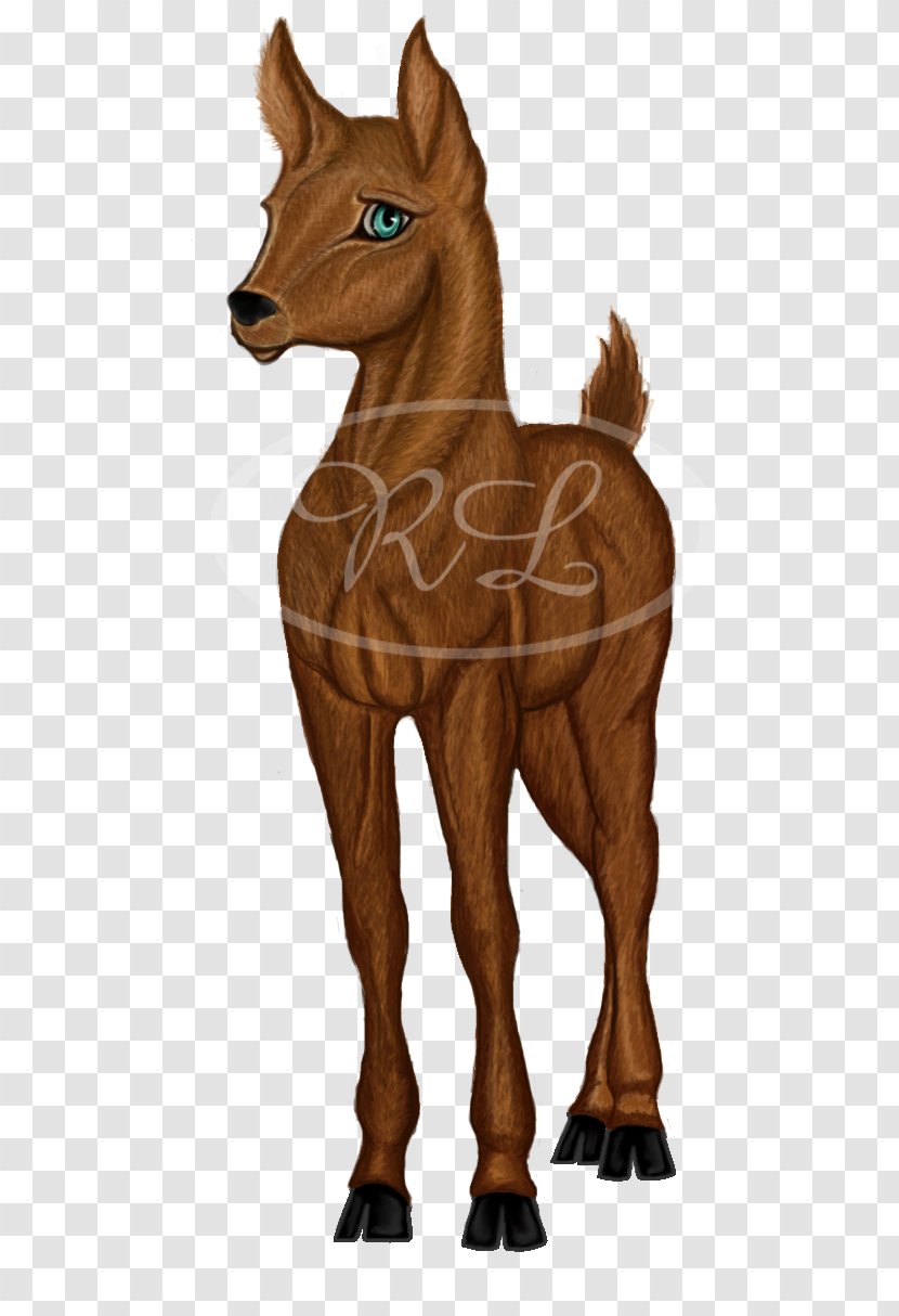 Mustang Foal Colt Stallion Pony - Mammal Transparent PNG