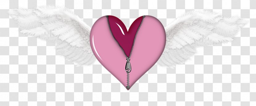 Download - Heart - Wing Transparent PNG