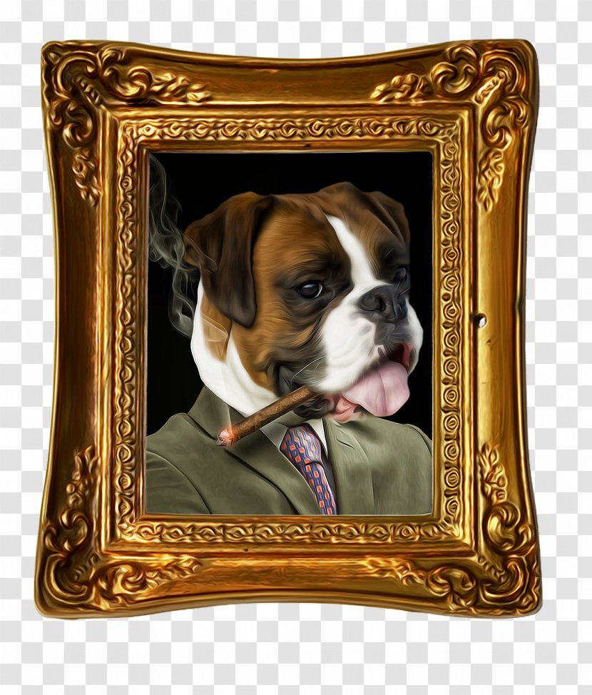 Bulldog Portrait - Dog Transparent PNG