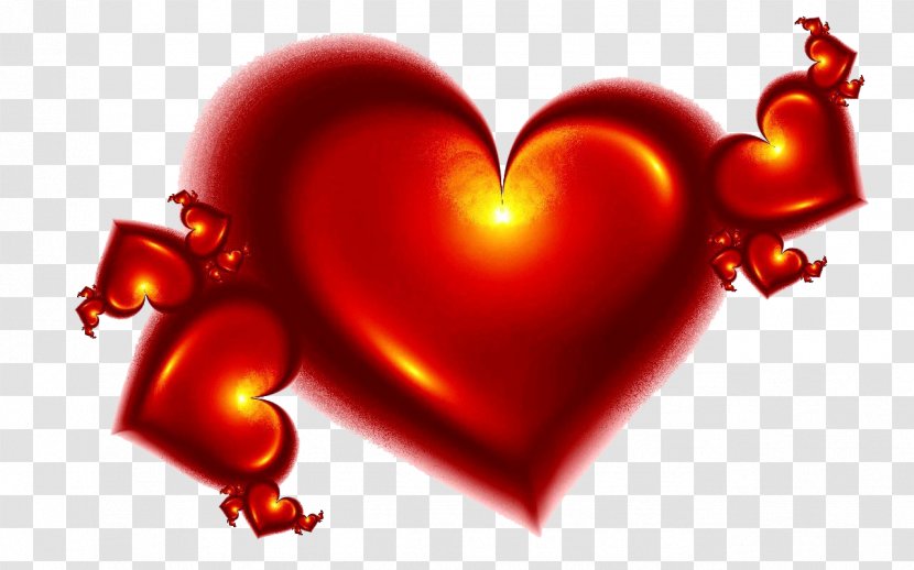 Valentine's Day Romance Love - Heart Transparent PNG