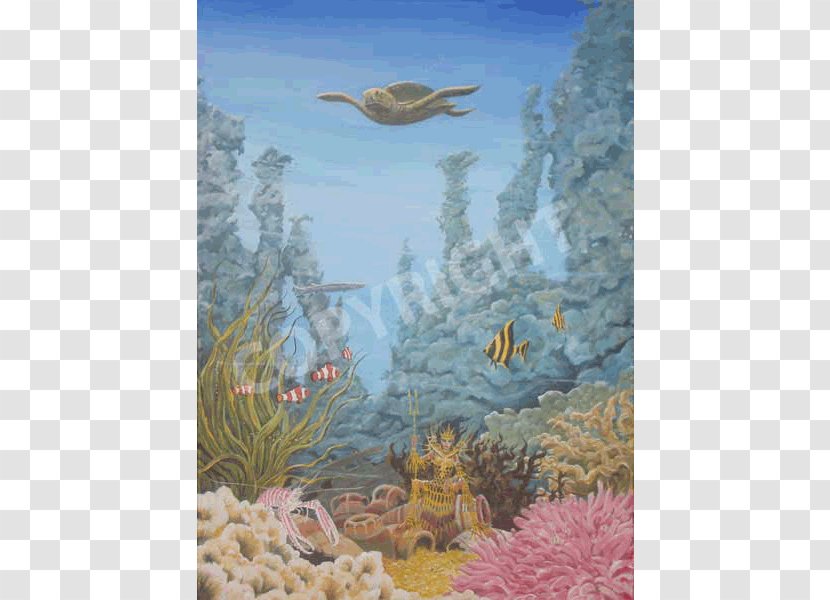 Coral Reef Marine Biology Wildlife Ecosystem Underwater - Sky Sea Transparent PNG